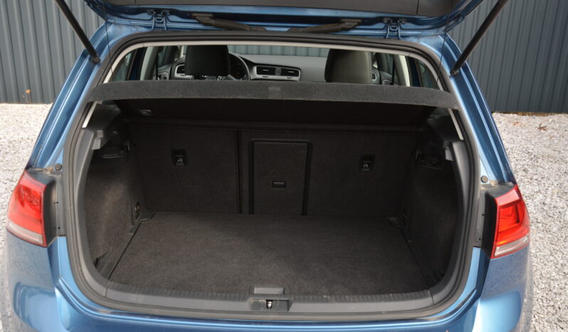 Volkswagen Golf 1.60 4×4 TDi 4 Motion full